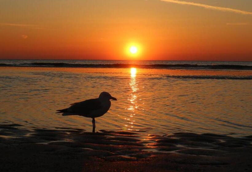تختخواب و صبحانه Sea More