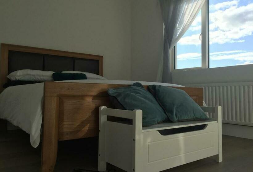 膳宿费 Carrick On Shannon Guest House