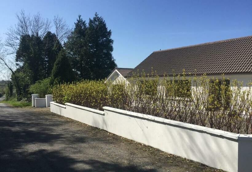 膳宿费 Carrick On Shannon Guest House