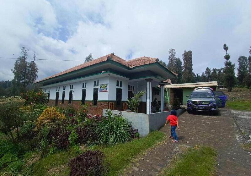 بنسيون Elen Homestay By Abm