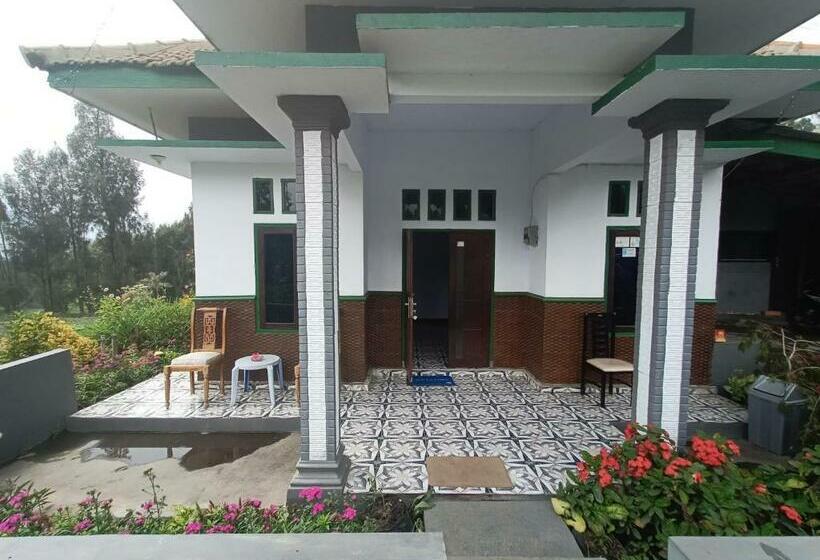 بنسيون Elen Homestay By Abm
