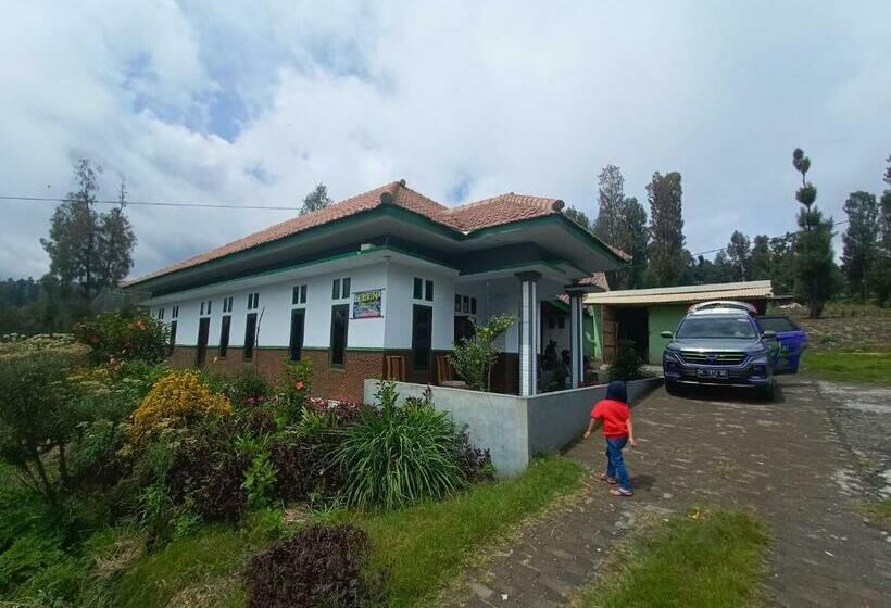 بنسيون Elen Homestay By Abm