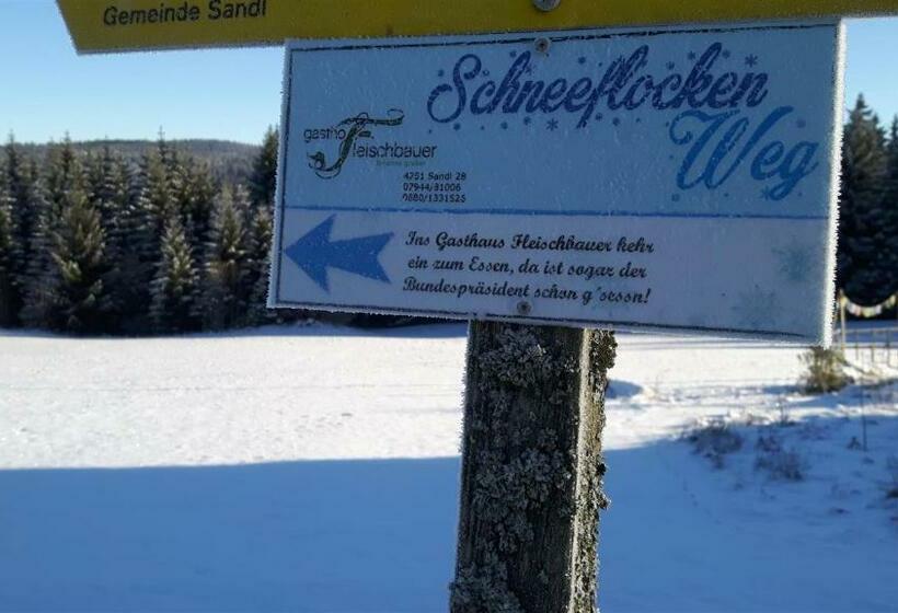 ユースホステル Viehberghütte