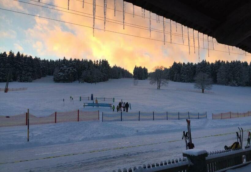 ユースホステル Viehberghütte