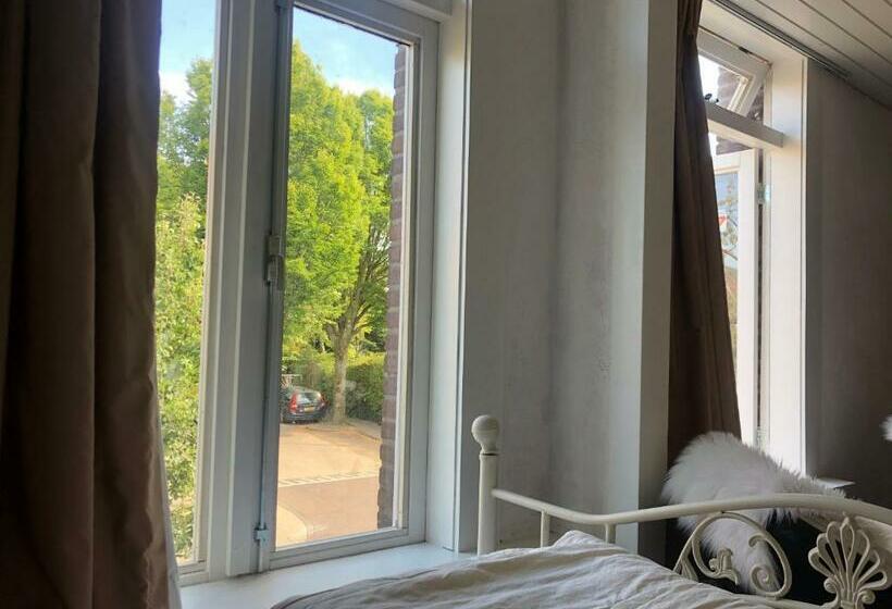 تختخواب و صبحانه Back Stage