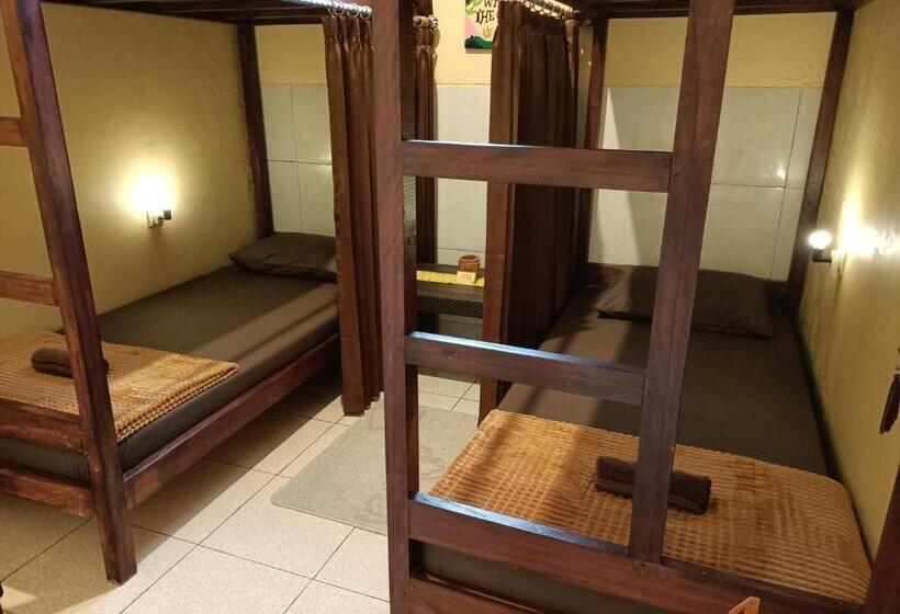 تختخواب و صبحانه Chacha Homestay & Dormitory