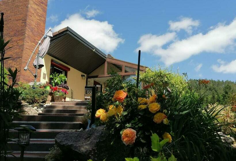 Bed and Breakfast Chambres D Hôtes De L Avison