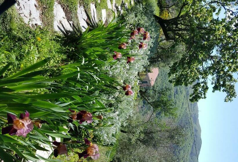 مبيت وإفطار Pietrantica   Affittacamere Con Giardino Nuova Apertura A Trebiano  Citr