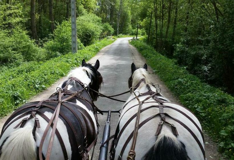 ペンション Les Chevaux De L Hippocampe