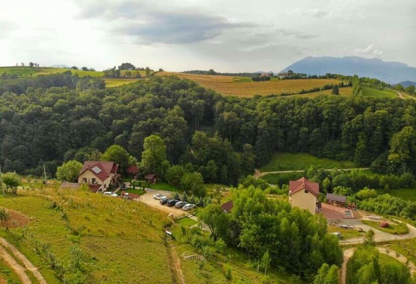 Pensiunea 7 Brazi Ii
