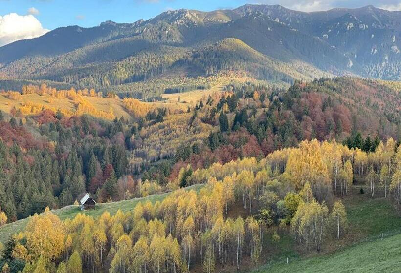 Pensiunea 7 Brazi Ii