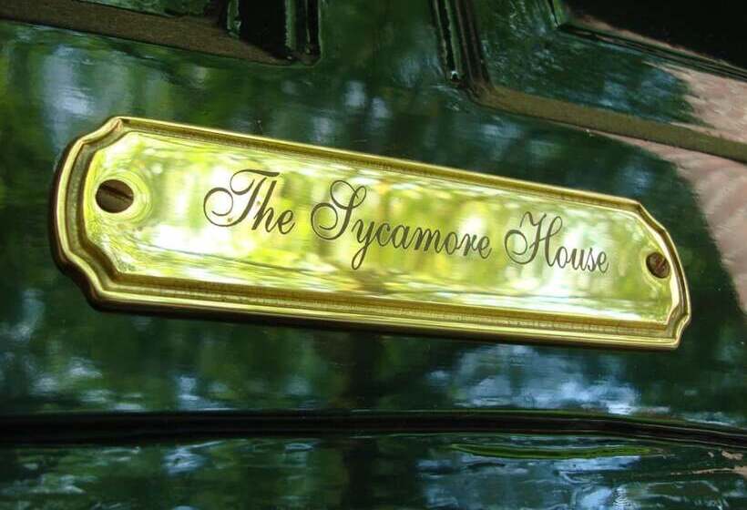 ベッドアンドブレックファースト Boutiquehotel Sycamore   Protected City View   Free Parking