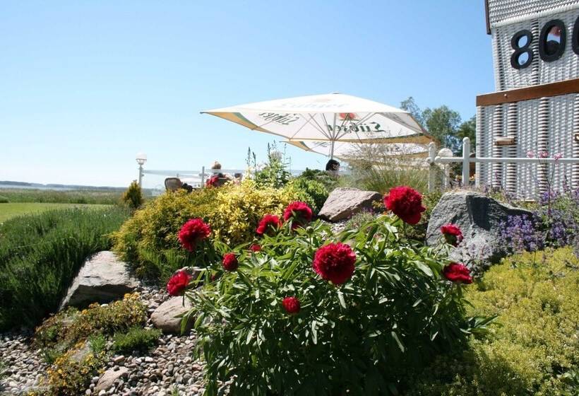 فندق Inselhof Vineta