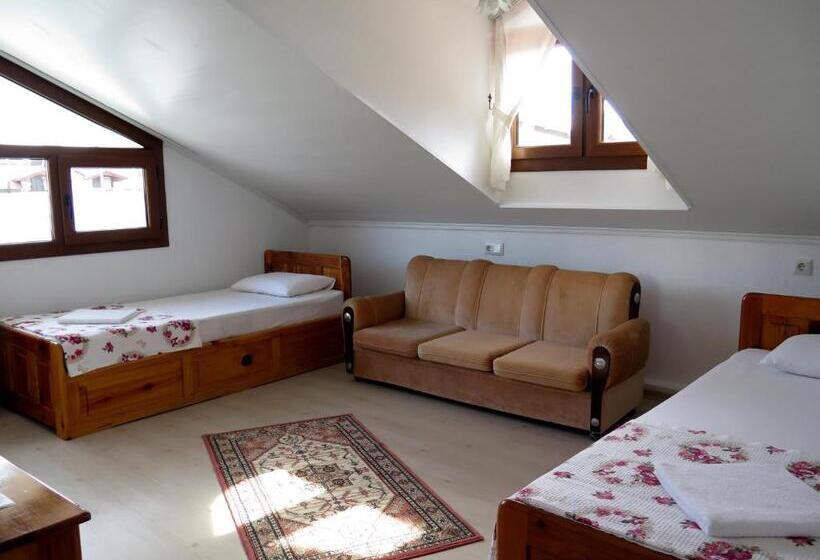 هتل Tavilogullari Villa Apart