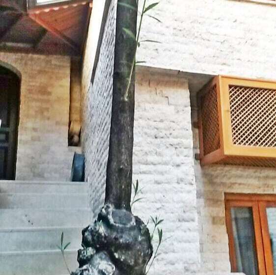 هتل Zeynep Hanim Konagi