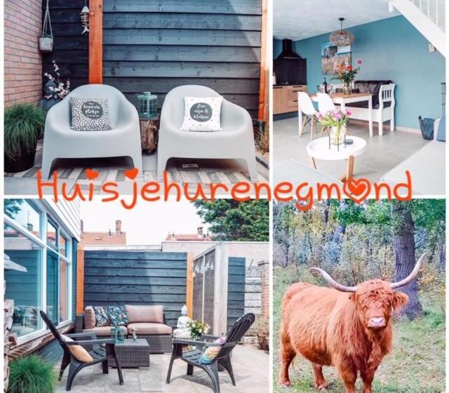 B&b Joeys Place