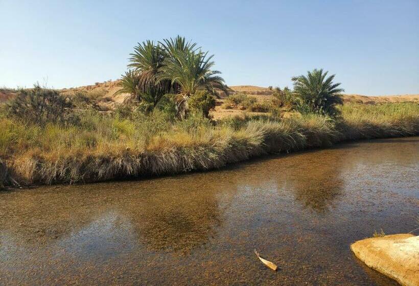 تختخواب و صبحانه Maison Etoile Du Desert