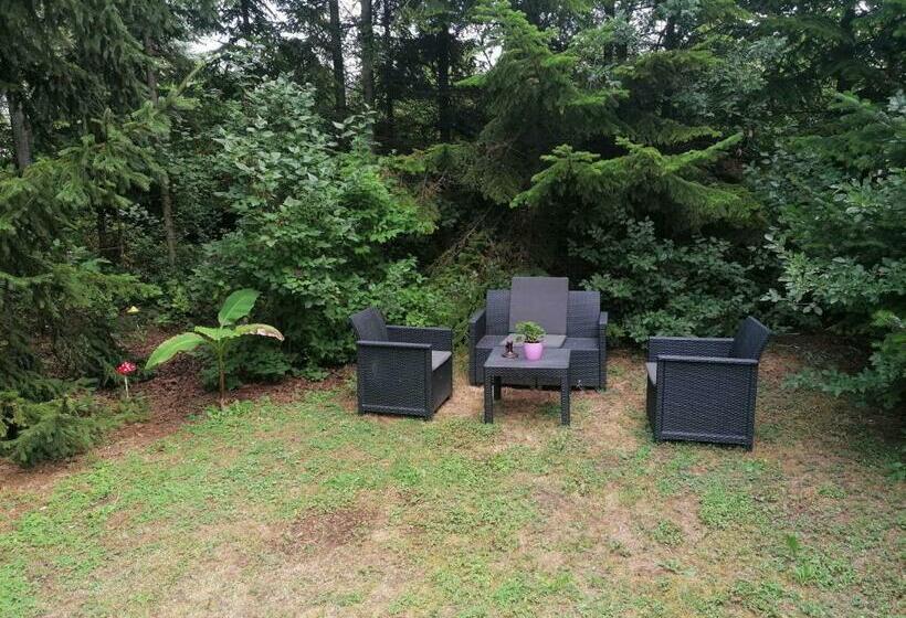 بنسيون Park Vendégház