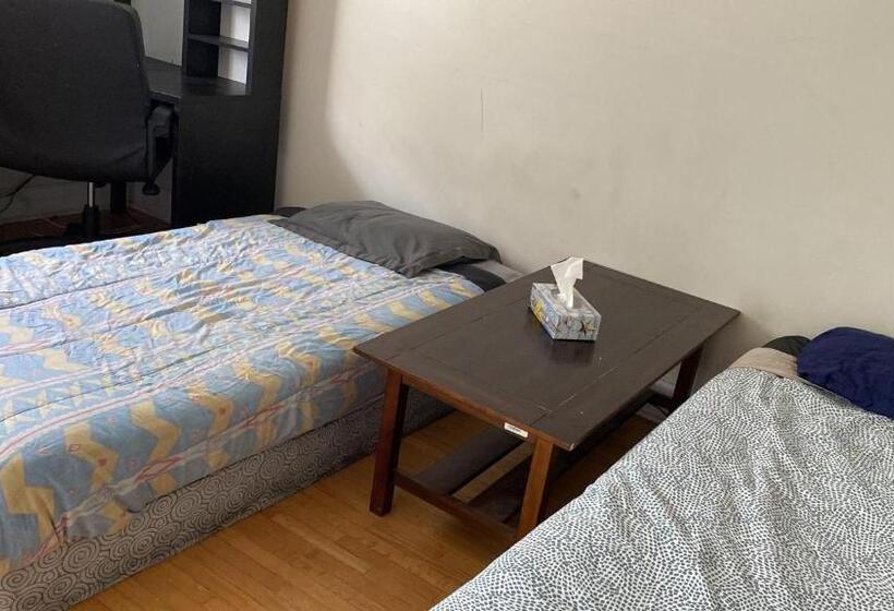 הוסטל Private Rooms, Free Parking, Full Kitchen, Best Prices In Town  York University Heights