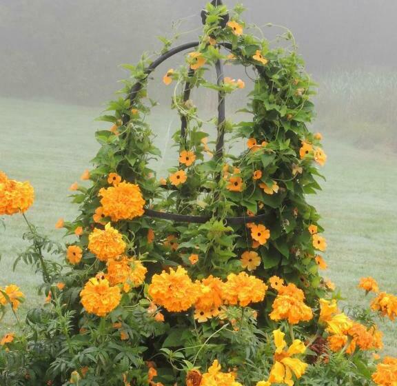 פנסיון Villa Orangère Chambre Et Table D Hôtes