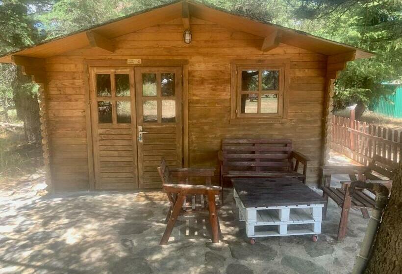 ホテル La Cabaña De Gaia