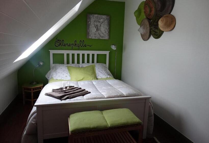 פנסיון Chambres D Hôtes De La Voie Romaine