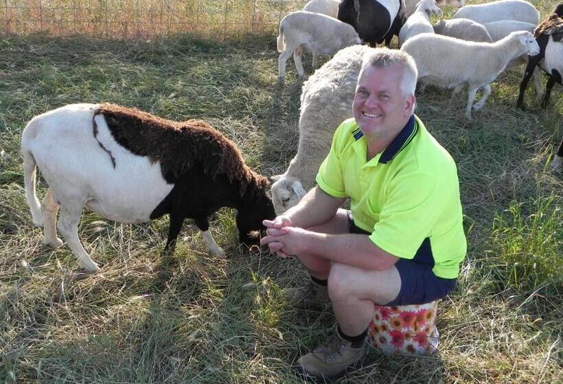 Пансион Glenview Alpaca Farm