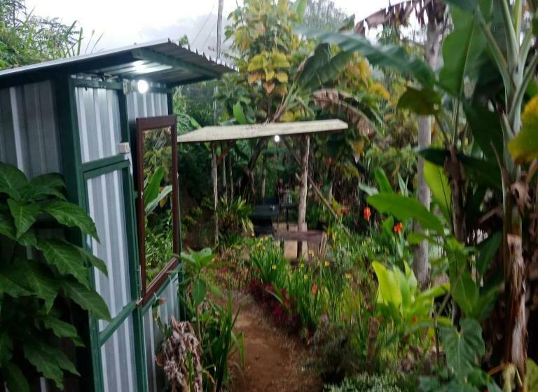 تختخواب و صبحانه Eco Bedugul Adventurer Camp
