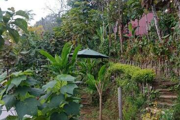 تختخواب و صبحانه Eco Bedugul Adventurer Camp