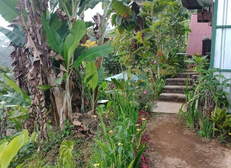 민박 Eco Bedugul Adventurer Camp