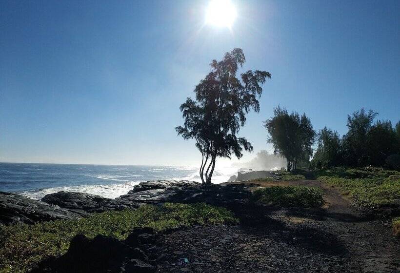 فندق صغير Ocean Breeze Inn