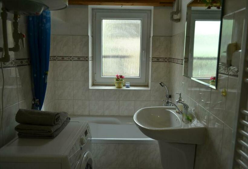 Apartments  Vintag  Teplice