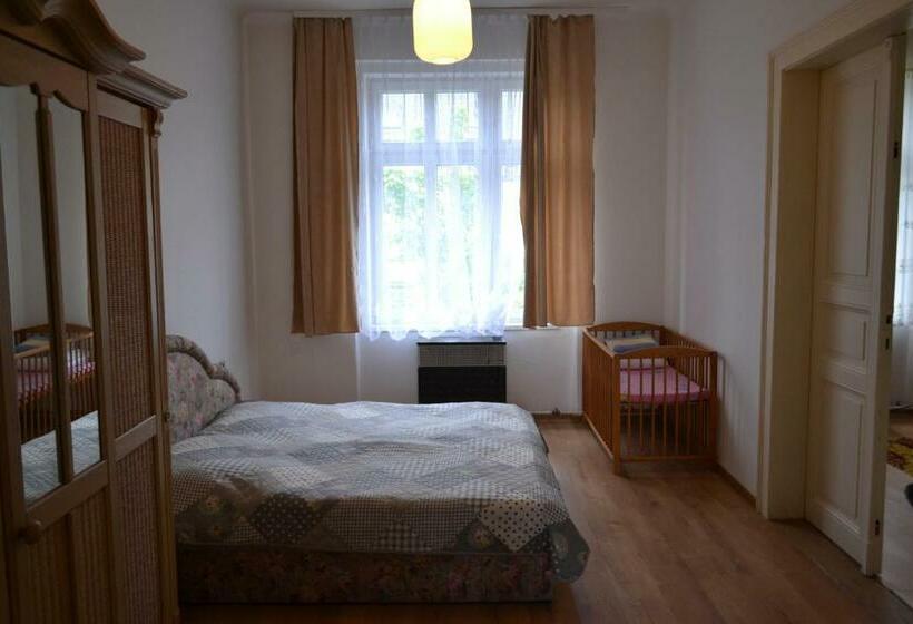 Apartments  Vintag  Teplice