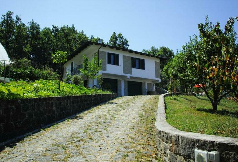 ベッドアンドブレックファースト Affittacamere Convivio