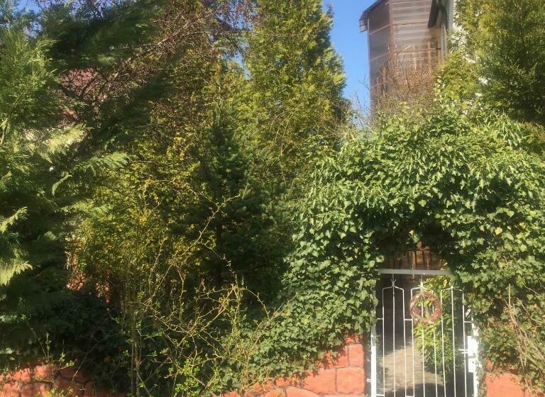 بنسيون Apartman Donau Tát