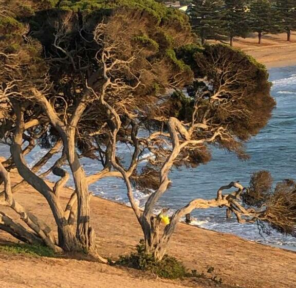 مبيت وإفطار At The Gallery