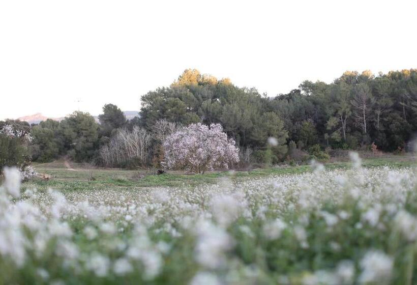 Masia Can Rovira   Esc1852