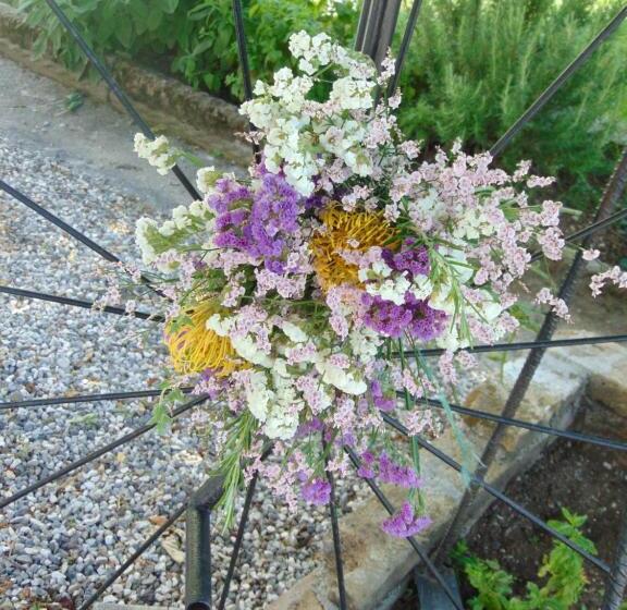 פנסיון Fragole E Menta