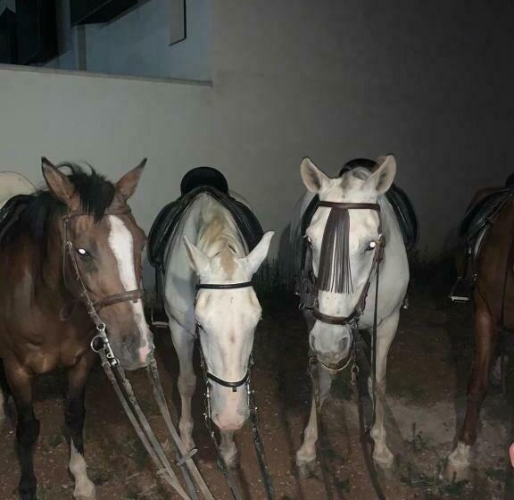 Albergue Turístico La Almazara