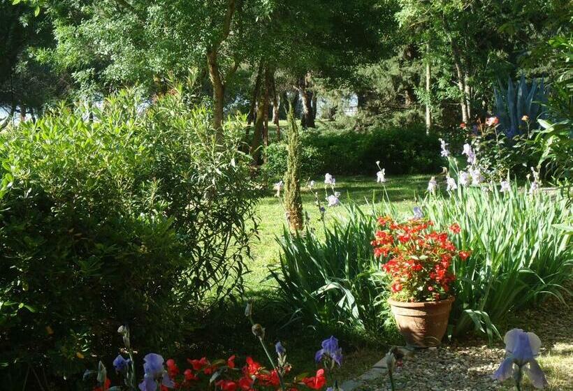 تختخواب و صبحانه Au Bord De Thau