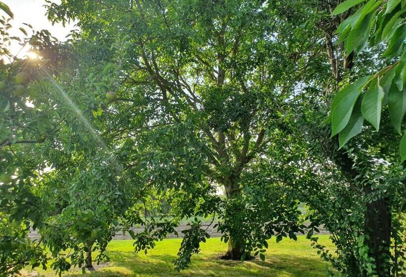 פנסיון Au Jardin Sur L Eau Hortillonnages