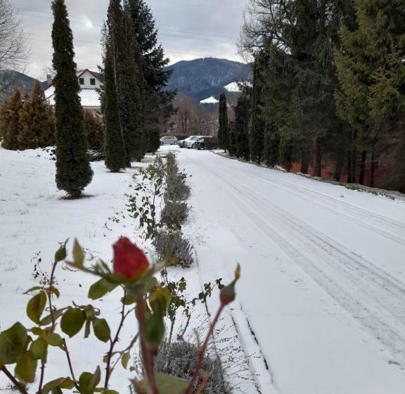 بنسيون Cabana Scaricica