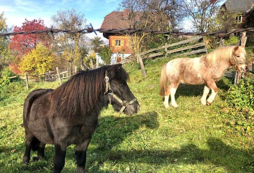 Пансион Feielhof