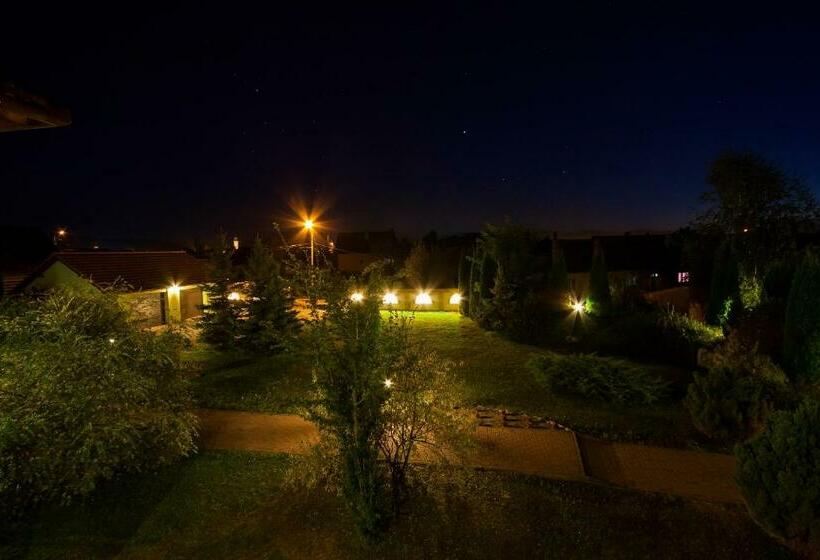 פנסיון Vila Transylvania