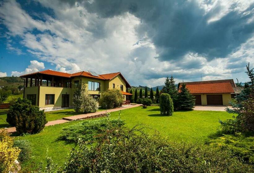פנסיון Vila Transylvania