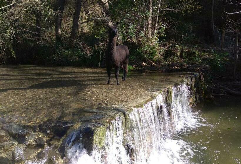 住宿加早餐  Chambre Cévennes: Piscine, Lamas, Rivière