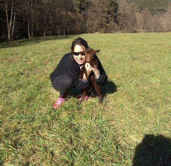 צימר Chambre Cévennes: Piscine, Lamas, Rivière