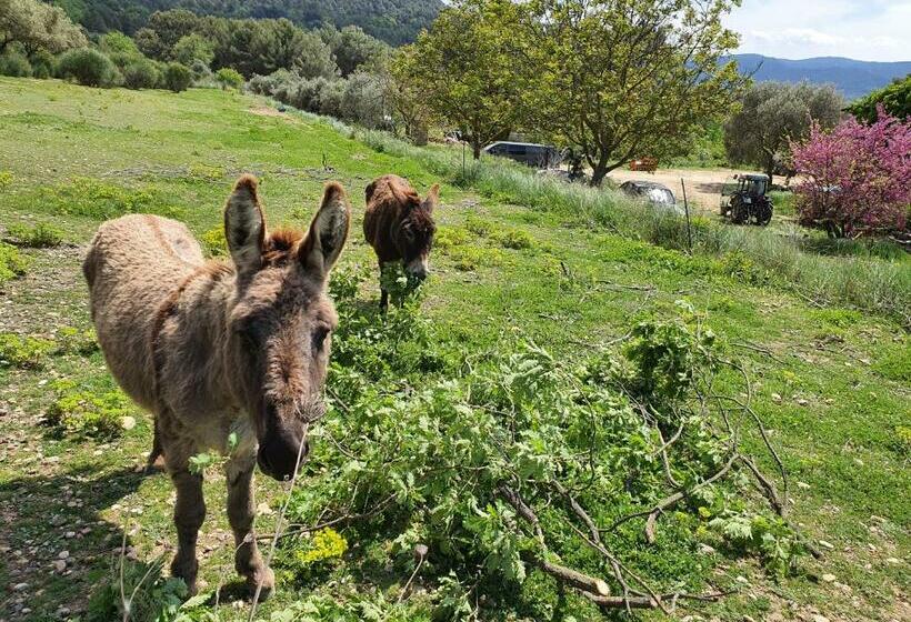 ベッドアンドブレックファースト Locations Insolites Vie En Plein Air Cabane Et Tipi Bastide Bellugue Maison D Hôtes Reseau Bienvenue