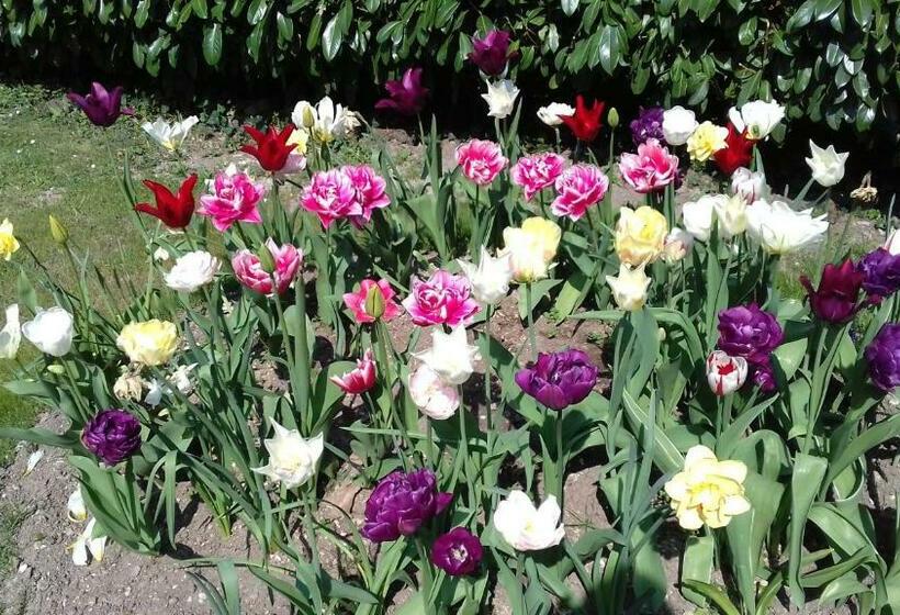 مبيت وإفطار à L Orée Du Bois