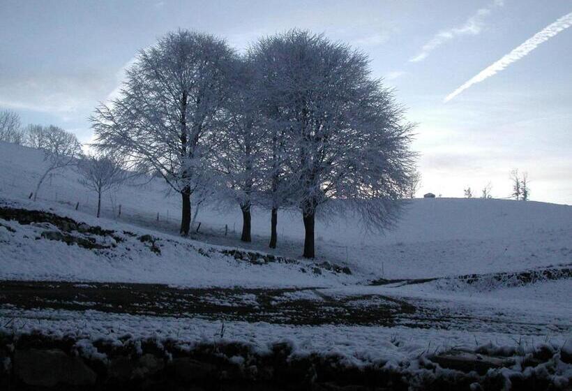 住宿加早餐  Mirabilia